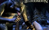 The-elder-scrolls-3-bloodmoon